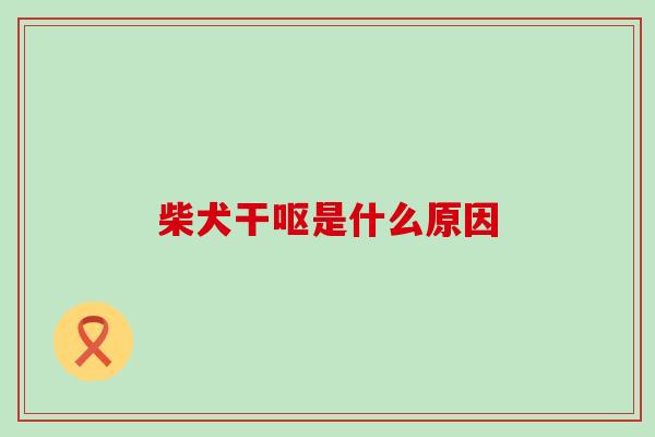 柴犬干呕是什么原因