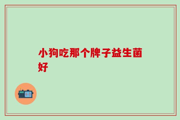 小狗吃那个牌子益生菌好