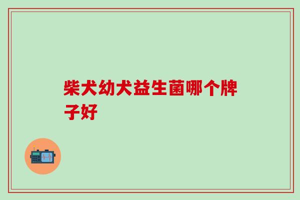 柴犬幼犬益生菌哪个牌子好