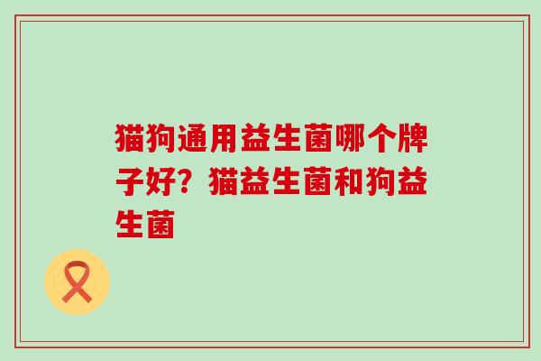 猫狗通用益生菌哪个牌子好？猫益生菌和狗益生菌