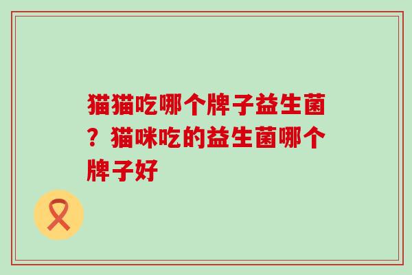 猫猫吃哪个牌子益生菌？猫咪吃的益生菌哪个牌子好