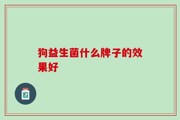 狗益生菌什么牌子的效果好