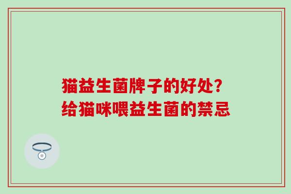 猫益生菌牌子的好处？给猫咪喂益生菌的禁忌