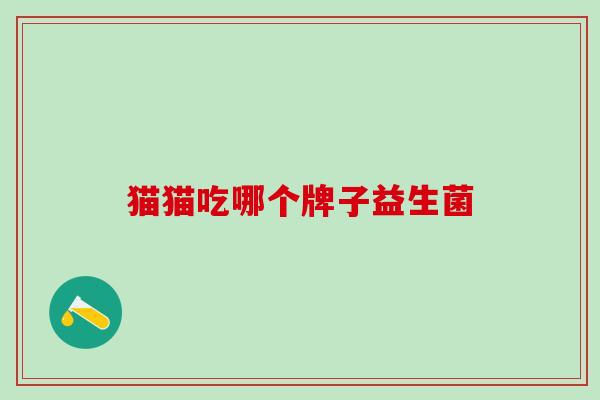 猫猫吃哪个牌子益生菌