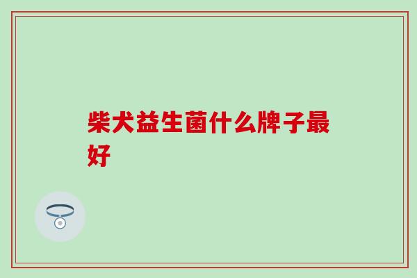 柴犬益生菌什么牌子最好