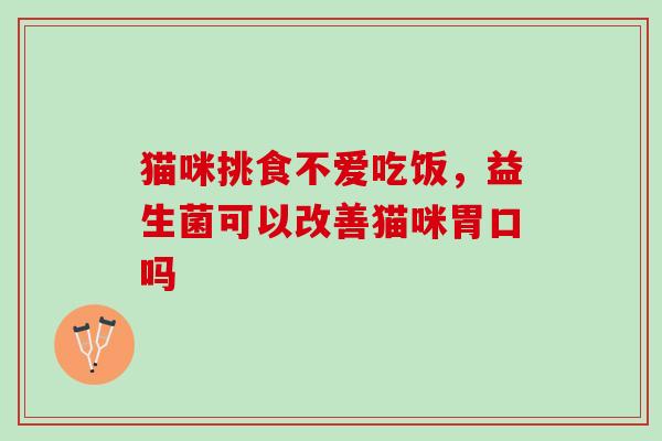 猫咪挑食不爱吃饭，益生菌可以改善猫咪胃口吗