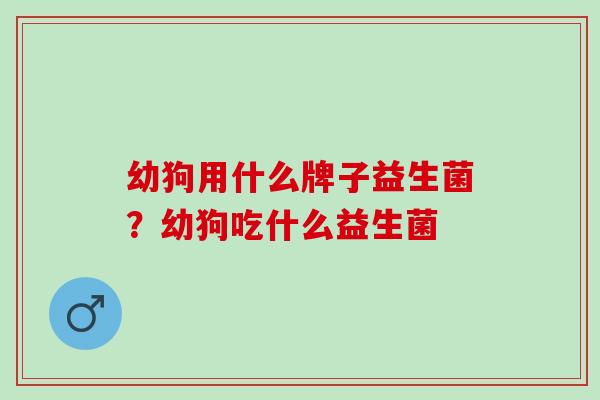 幼狗用什么牌子益生菌？幼狗吃什么益生菌