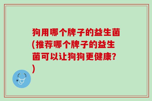 狗用哪个牌子的益生菌(推荐哪个牌子的益生菌可以让狗狗更健康？)