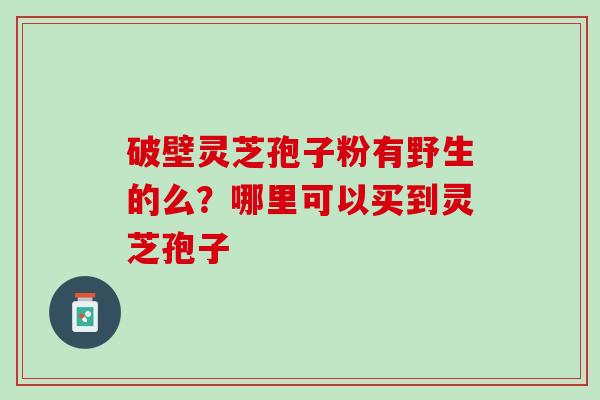 破壁灵芝孢子粉有野生的么？哪里可以买到灵芝孢子