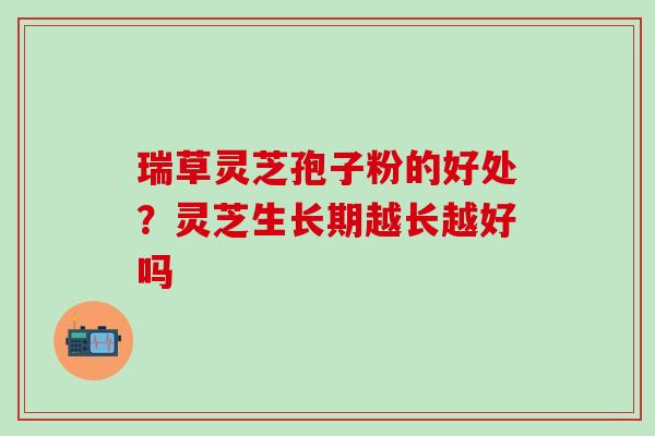 瑞草灵芝孢子粉的好处？灵芝生长期越长越好吗