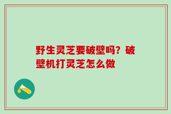 野生灵芝要破壁吗？破壁机打灵芝怎么做