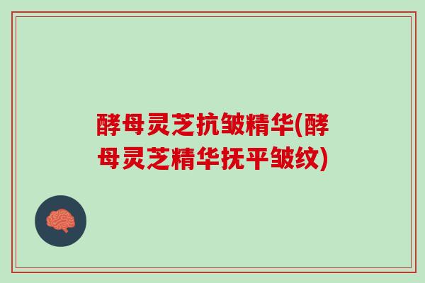 酵母灵芝抗皱精华(酵母灵芝精华抚平皱纹)
