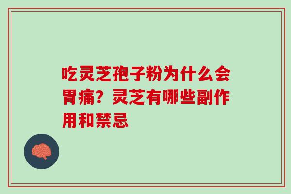 吃灵芝孢子粉为什么会胃痛？灵芝有哪些副作用和禁忌