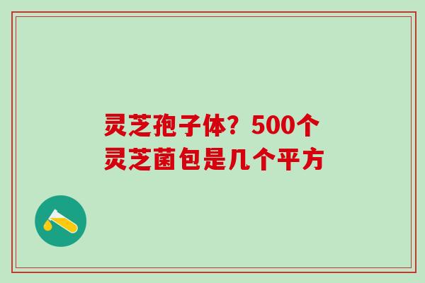 灵芝孢子体？500个灵芝菌包是几个平方
