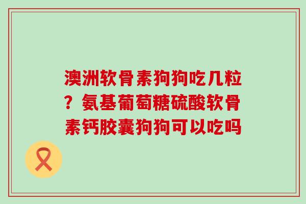 澳洲软骨素狗狗吃几粒？氨基葡萄糖硫酸软骨素钙胶囊狗狗可以吃吗