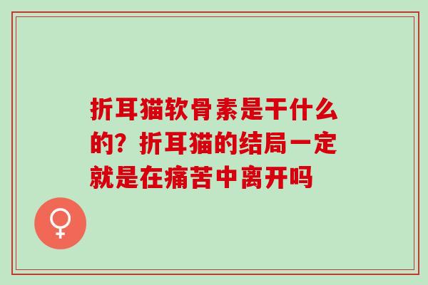 折耳猫软骨素是干什么的？折耳猫的结局一定就是在痛苦中离开吗