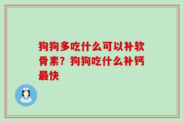 狗狗多吃什么可以补软骨素？狗狗吃什么补钙最快