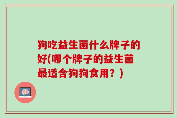 狗吃益生菌什么牌子的好(哪个牌子的益生菌最适合狗狗食用？)