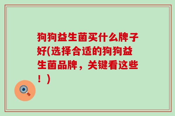 狗狗益生菌买什么牌子好(选择合适的狗狗益生菌品牌,关键看这些!) 狗狗益生菌买什么牌子好(选择合适的狗狗益生菌品牌,关键看这些!)