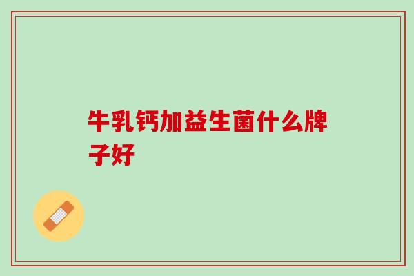 牛乳钙加益生菌什么牌子好