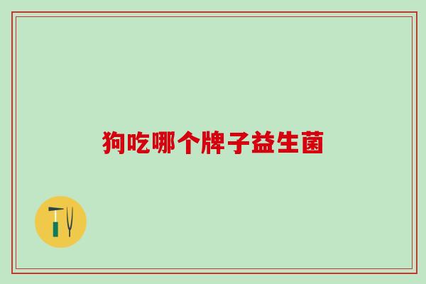 狗吃哪个牌子益生菌