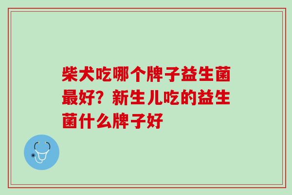 柴犬吃哪个牌子益生菌最好？新生儿吃的益生菌什么牌子好