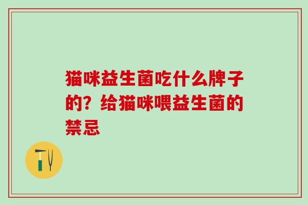 猫咪益生菌吃什么牌子的？给猫咪喂益生菌的禁忌