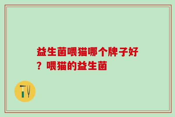 益生菌喂猫哪个牌子好？喂猫的益生菌