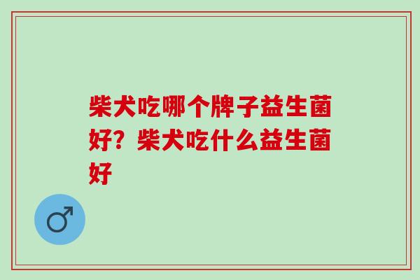 柴犬吃哪个牌子益生菌好？柴犬吃什么益生菌好