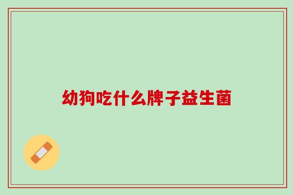 幼狗吃什么牌子益生菌