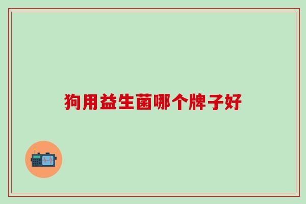 狗用益生菌哪个牌子好