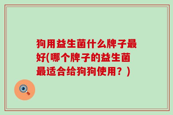 狗用益生菌什么牌子最好(哪个牌子的益生菌最适合给狗狗使用？)