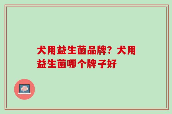 犬用益生菌品牌？犬用益生菌哪个牌子好