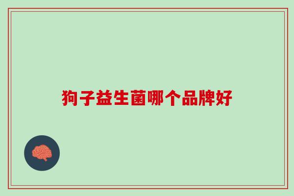 狗子益生菌哪个品牌好