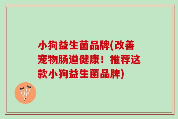 小狗益生菌品牌(改善宠物肠道健康！推荐这款小狗益生菌品牌)