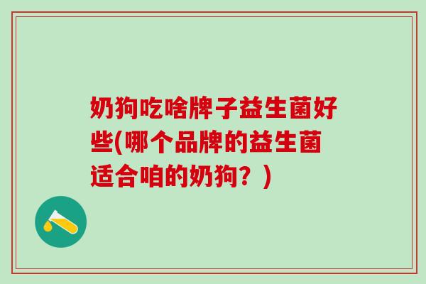 奶狗吃啥牌子益生菌好些(哪个品牌的益生菌适合咱的奶狗？)