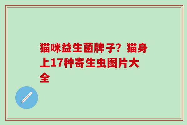 猫咪益生菌牌子？猫身上17种寄生虫图片大全