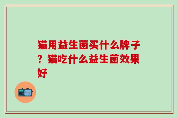 猫用益生菌买什么牌子？猫吃什么益生菌效果好