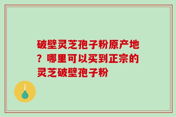 破壁灵芝孢子粉原产地？哪里可以买到正宗的灵芝破壁孢子粉