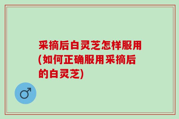 采摘后白灵芝怎样服用(如何正确服用采摘后的白灵芝)