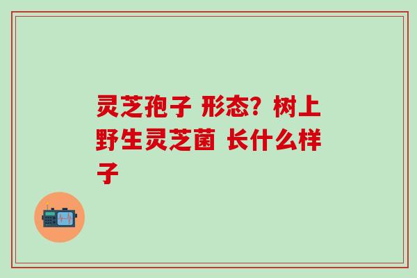 灵芝孢子 形态？树上野生灵芝菌 长什么样子