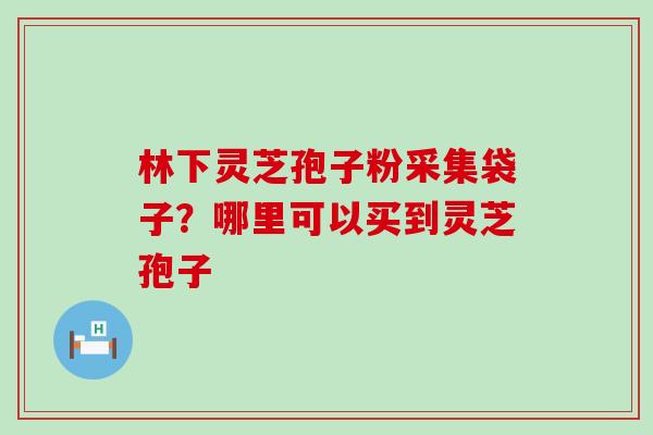 林下灵芝孢子粉采集袋子？哪里可以买到灵芝孢子