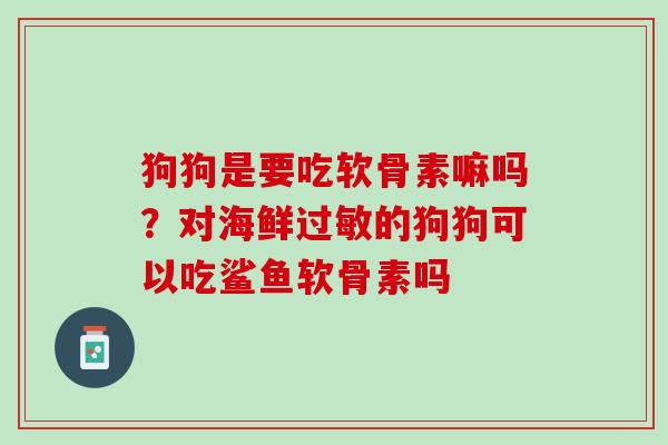 狗狗是要吃软骨素嘛吗？对海鲜过敏的狗狗可以吃鲨鱼软骨素吗