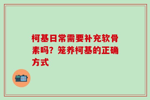 柯基日常需要补充软骨素吗？笼养柯基的正确方式