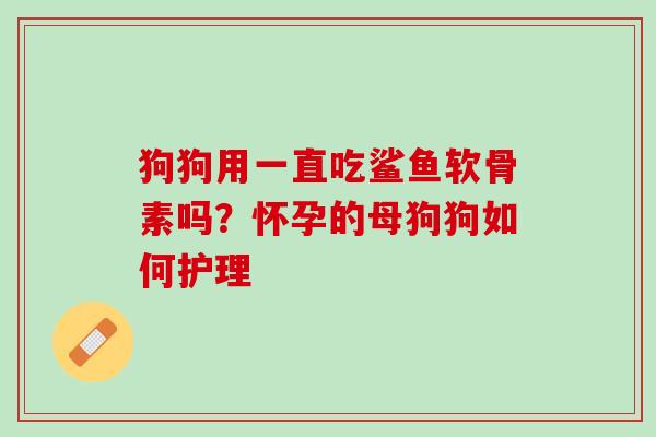 狗狗用一直吃鲨鱼软骨素吗？怀孕的母狗狗如何护理