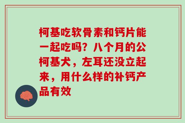 柯基吃软骨素和钙片能一起吃吗？八个月的公柯基犬，左耳还没立起来，用什么样的补钙产品有效