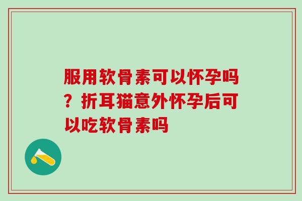 服用软骨素可以怀孕吗？折耳猫意外怀孕后可以吃软骨素吗