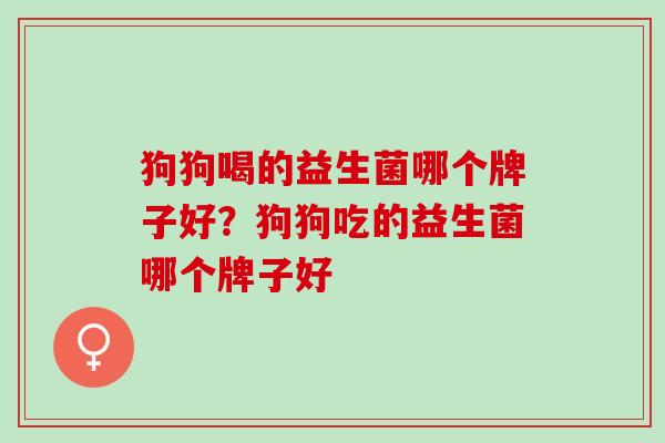 狗狗喝的益生菌哪个牌子好？狗狗吃的益生菌哪个牌子好