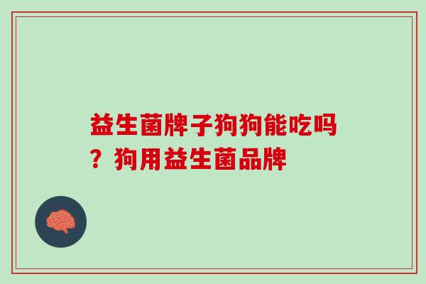 益生菌牌子狗狗能吃吗？狗用益生菌品牌