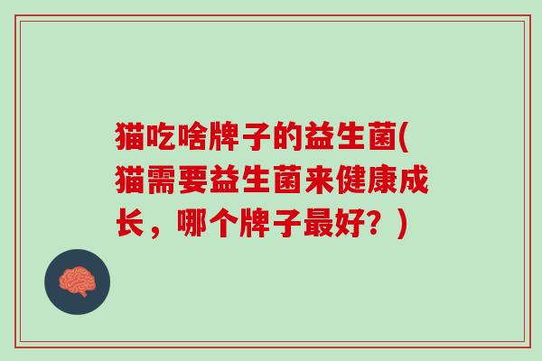 猫吃啥牌子的益生菌(猫需要益生菌来健康成长，哪个牌子最好？)